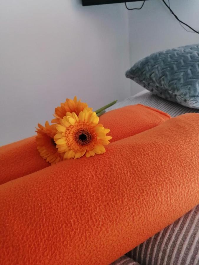 Apartman Radic Trogir Kültér fotó